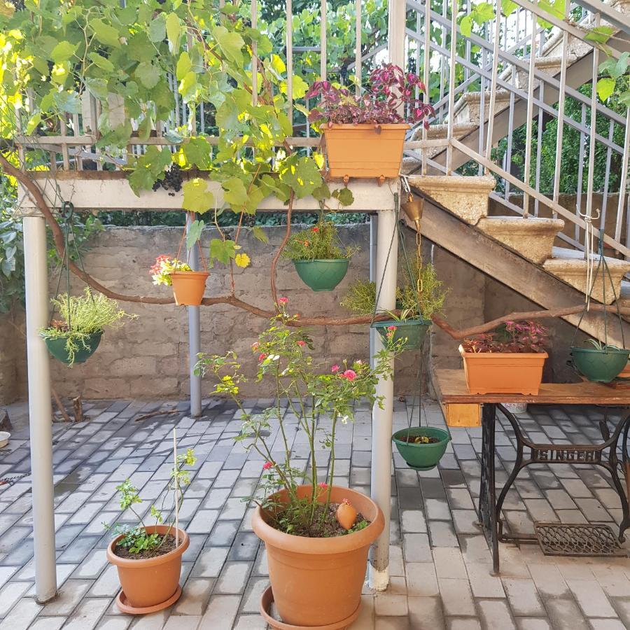Домик У Куры Hotel Tbilisi Exterior foto